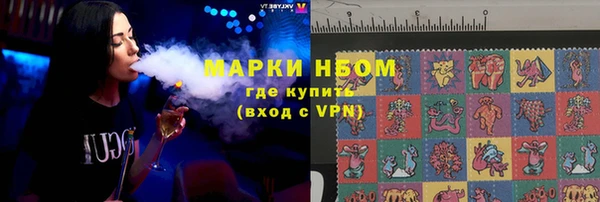 СК Зерноград