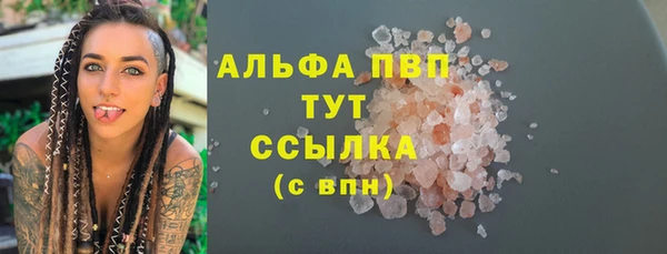 СК Зерноград