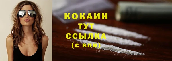 СК Зерноград