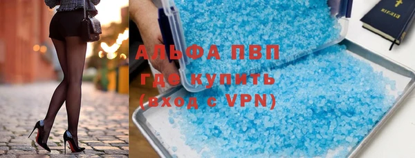 СК Зерноград